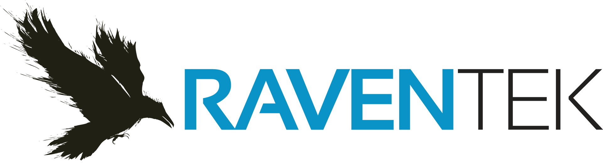 RavenTek_RGB_NoTag_HS